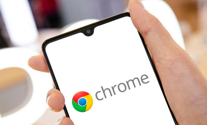 Chrome浏览器下载完成后插件安全设置指南