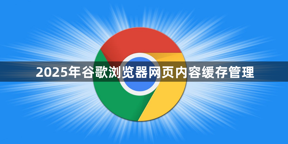 2025年谷歌浏览器网页内容缓存管理1