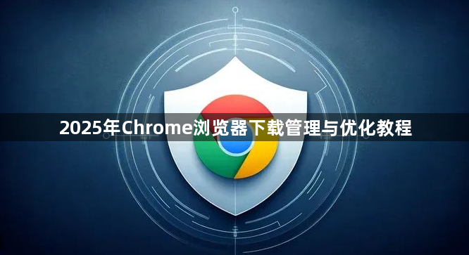 2025年Chrome浏览器下载管理与优化教程1