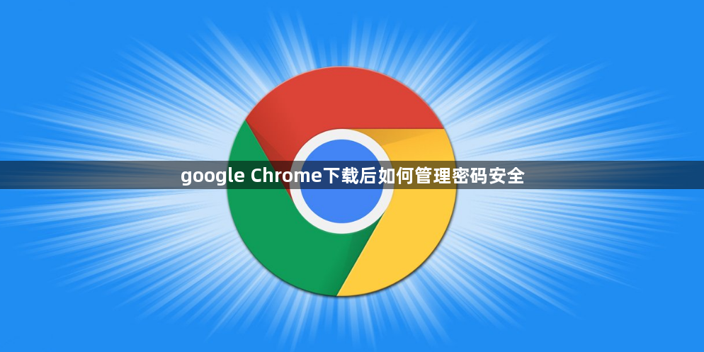 google Chrome下载后如何管理密码安全1