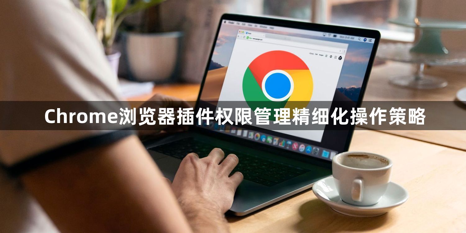 Chrome浏览器插件权限管理精细化操作策略1