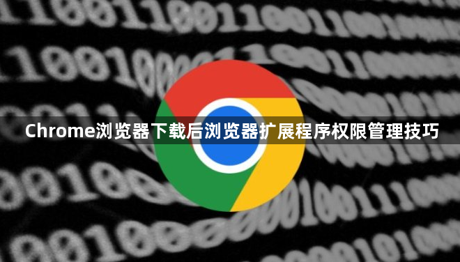 Chrome浏览器下载后浏览器扩展程序权限管理技巧1