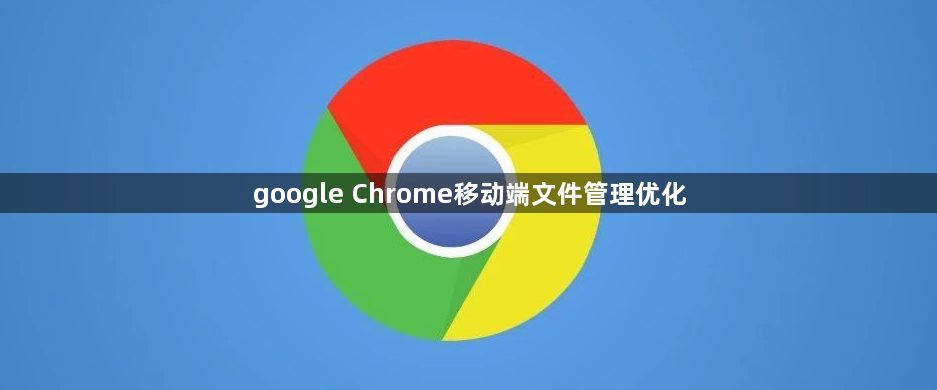 google Chrome移动端文件管理优化1