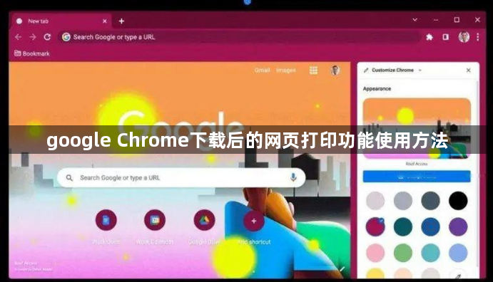 google Chrome下载后的网页打印功能使用方法1