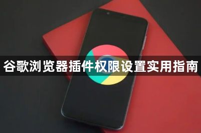 谷歌浏览器插件权限设置实用指南1