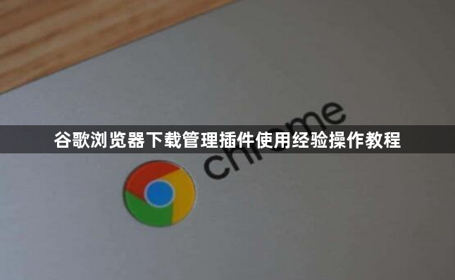 谷歌浏览器下载管理插件使用经验操作教程1