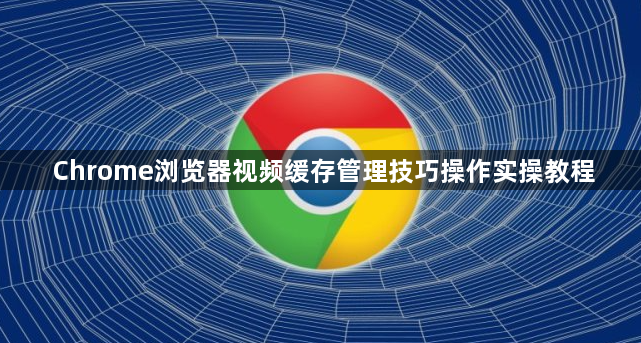 Chrome浏览器视频缓存管理技巧操作实操教程1