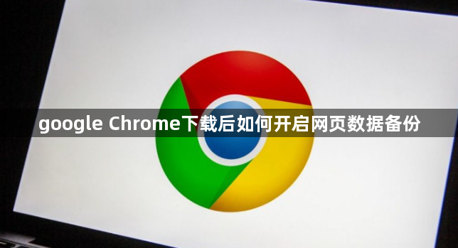google Chrome下载后如何开启网页数据备份1