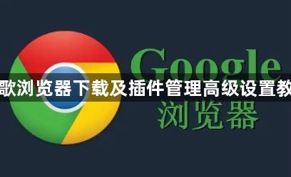 谷歌浏览器下载及插件管理高级设置教程1