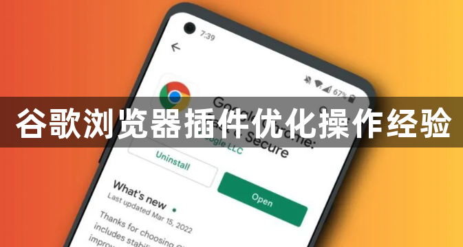 谷歌浏览器插件优化操作经验1