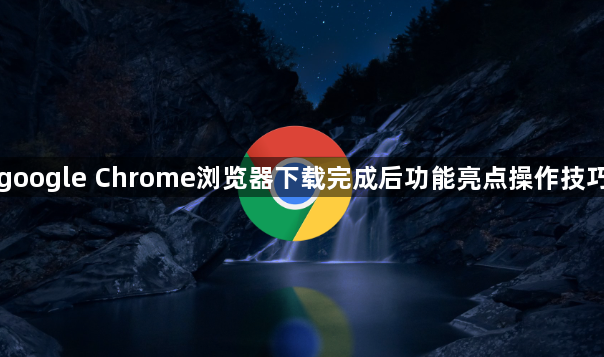 google Chrome浏览器下载完成后功能亮点操作技巧1