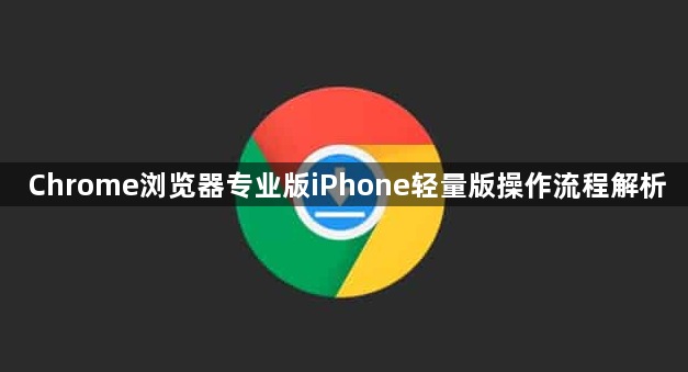 Chrome浏览器专业版iPhone轻量版操作流程解析1