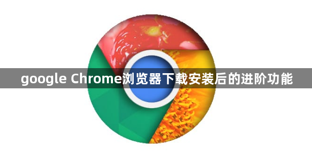 google Chrome浏览器下载安装后的进阶功能1
