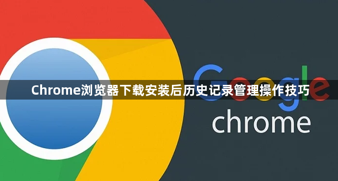 Chrome浏览器下载安装后历史记录管理操作技巧1