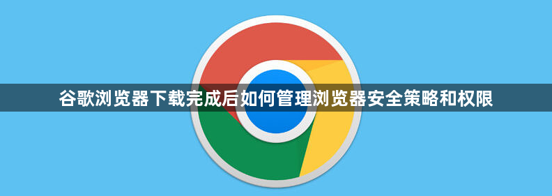谷歌浏览器下载完成后如何管理浏览器安全策略和权限1