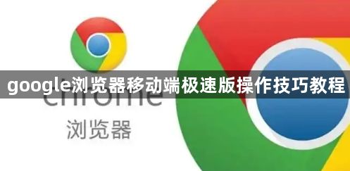 google浏览器移动端极速版操作技巧教程1