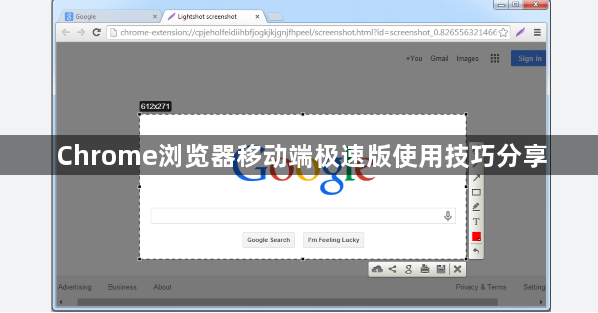 Chrome浏览器移动端极速版使用技巧分享1