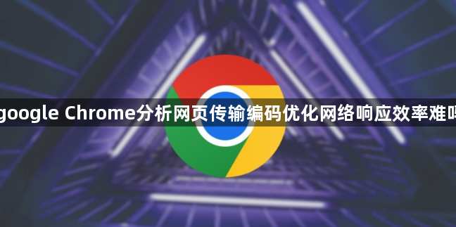 google Chrome分析网页传输编码优化网络响应效率难吗1